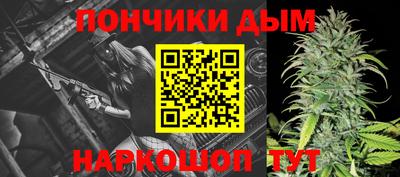 шишки Камышлов