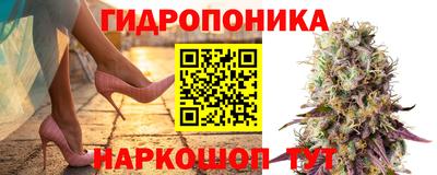 винт Кандалакша