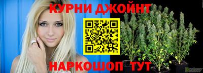 шишки Камышлов