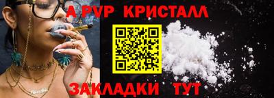 шишки Камышлов