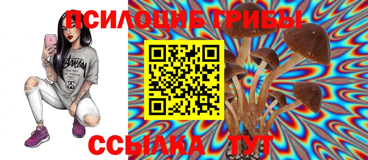 Ленинск-Кузнецкий  Псилоцибиновые грибы Magic Shrooms  Псилоцибиновые грибы GOLDEN TEACHER  Вход с VPN 